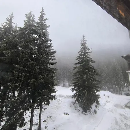 Apartment Mountain Pamporovo